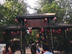 -合肥滨湖国家森林公园