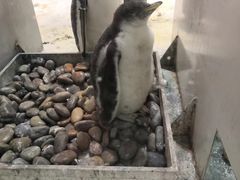 -大连圣亚海洋世界