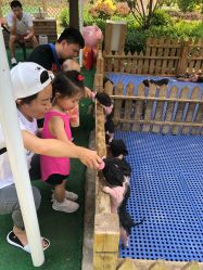 -萌宠亲子动物乐园(槐房万达店)