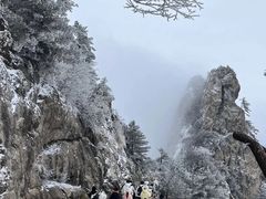 -老君山风景名胜区