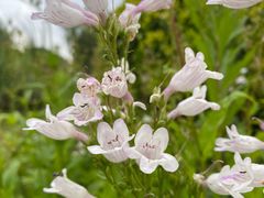 -九里河湿地公园