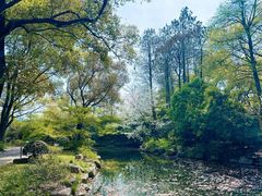 -上海共青森林公园