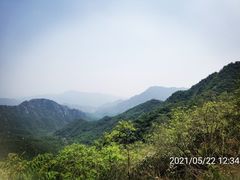 -大岭沟猕猴桃谷风景区