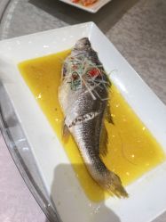 -新城花园酒店·宴会厅