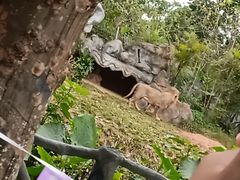 -海南热带野生动植物园