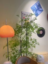 -变美丽半永久纹眉连锁·机器野生眉•洗眉