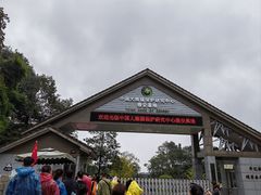 -中国大熊猫保护研究中心雅安碧峰峡基地