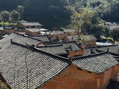 -杨家堂村