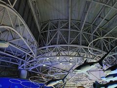 -烟台海昌鲸鲨海洋公园