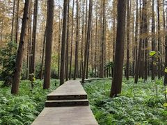 -上海怡沁园度假酒店