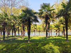 -华东政法大学(松江校区)