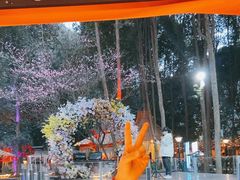 -二荆条·蜀鲜汇城市森林火锅