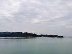 -望湖烤鱼
