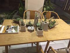 -柴务处·柴犬主题狗咖