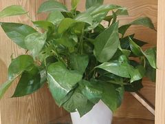 -徐小姐地锅鸡(铜山万达店)