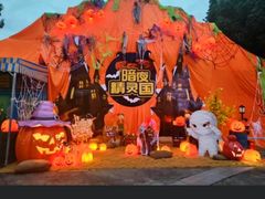 -南湖梦幻岛