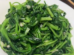 鸡毛菜-胡杨记忆(和平路店)