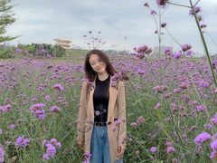 -光明小镇欢乐田园