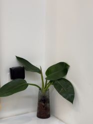 -爱秀造型 T-G