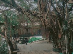 -小洲村