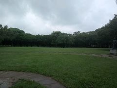 -中山大学学者灵芝(园南路店)