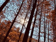 -宝界山林公园