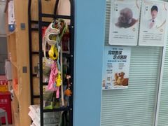 -全心全意连锁动物医院·微创中心·内科急重症·心脏专科(丰管路店)