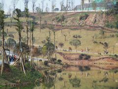 -枫香湖儿童公园