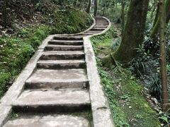 -青城山