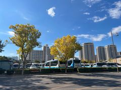 -中央戏剧学院(昌平校区)