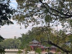 -桂林市榕杉湖景区