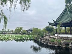 -无锡蠡湖国家湿地公园-蠡园