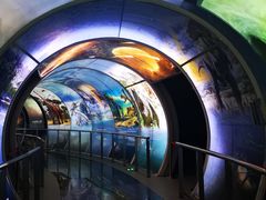 -房山世界地质公园博物馆