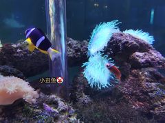 -海合安武汉极地海洋公园