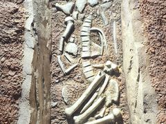 -迪庆藏族自治州博物馆