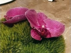 -彩丰楼·中餐厅(国家会展中心上海洲际店)