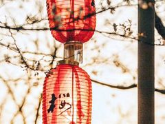 -名古屋城