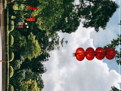 -云溪植物园