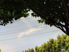 -紫颐香薰山谷景区