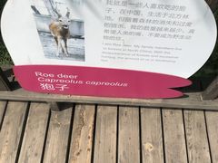 -北京麋鹿生态实验中心