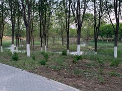 -东郊湿地公园