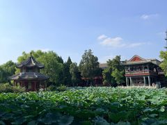 -莲池书院博物馆