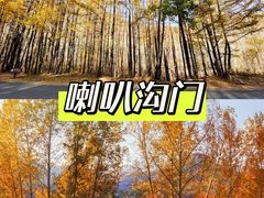 -周口店坡峰岭风景区