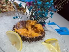 -老大连·海肠捞饭·大连海鲜大连菜(西安路店)