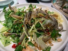 顺德鱼皮-大榕树下顺德菜(融创茂店)
