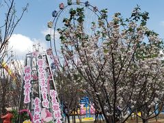 -观澜湖生态运动公社