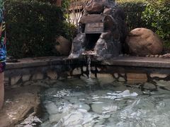 -庐山天沐温泉度假村