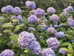 -常州古运河南大街文化旅游区-人民公园