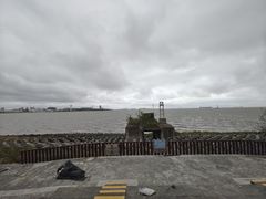 -上海滨江森林公园