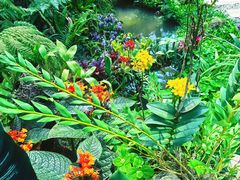 -东莞植物园